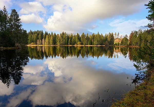 Etang de la Gruère